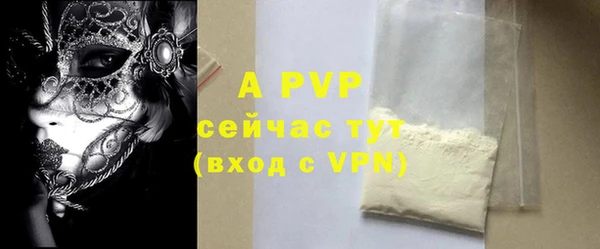 стафф Майский