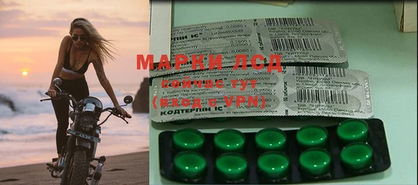 стафф Майский
