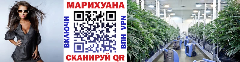 Купить закладки  Михайловка  Каннабис план 